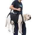 thumbnail image 2 of Dog Lift Harness for Large Dogs Sling for Whole Body Dog Legs Support Carriers Harness for Elderly Injured Disabled Dogs, 2 of 16