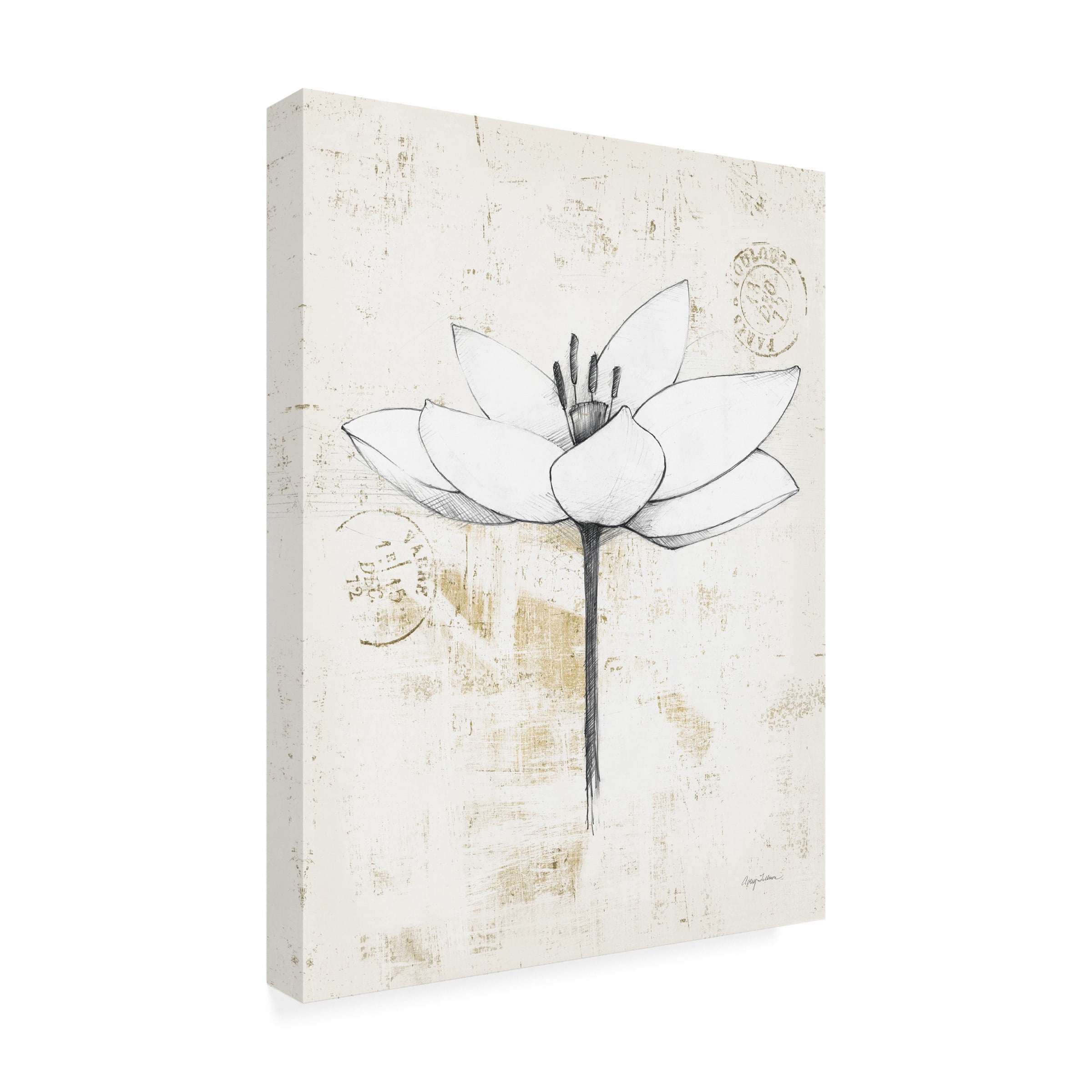 Avery Tillmon 'Pencil Floral I Gold' Canvas Art