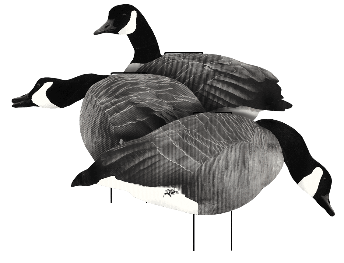 Canada Goose Flocked Head Silhouette