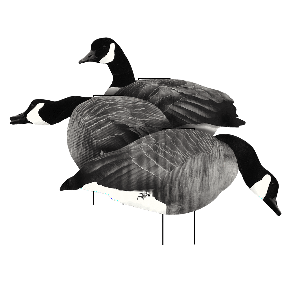 Canada Goose Flocked Head Silhouette Decoy