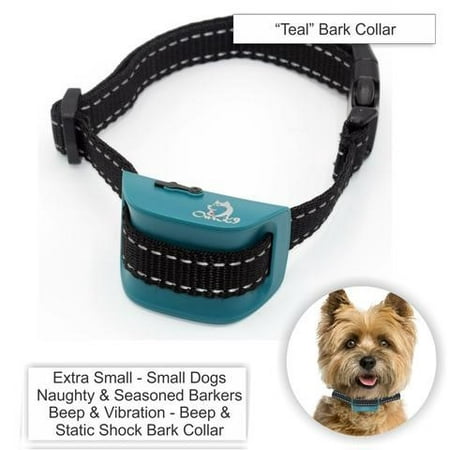 Best Shock Collar For Small Dogs Best Shock Collar For Small Dogs
