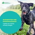 thumbnail image 5 of DGP All-Natural Joint Supplement for Dog Hip & Joint Support with Turmeric, Boswellia Extract, Feverfew - Quick Mobility Support - 60 Chew Tabs for Pets, 5 of 8