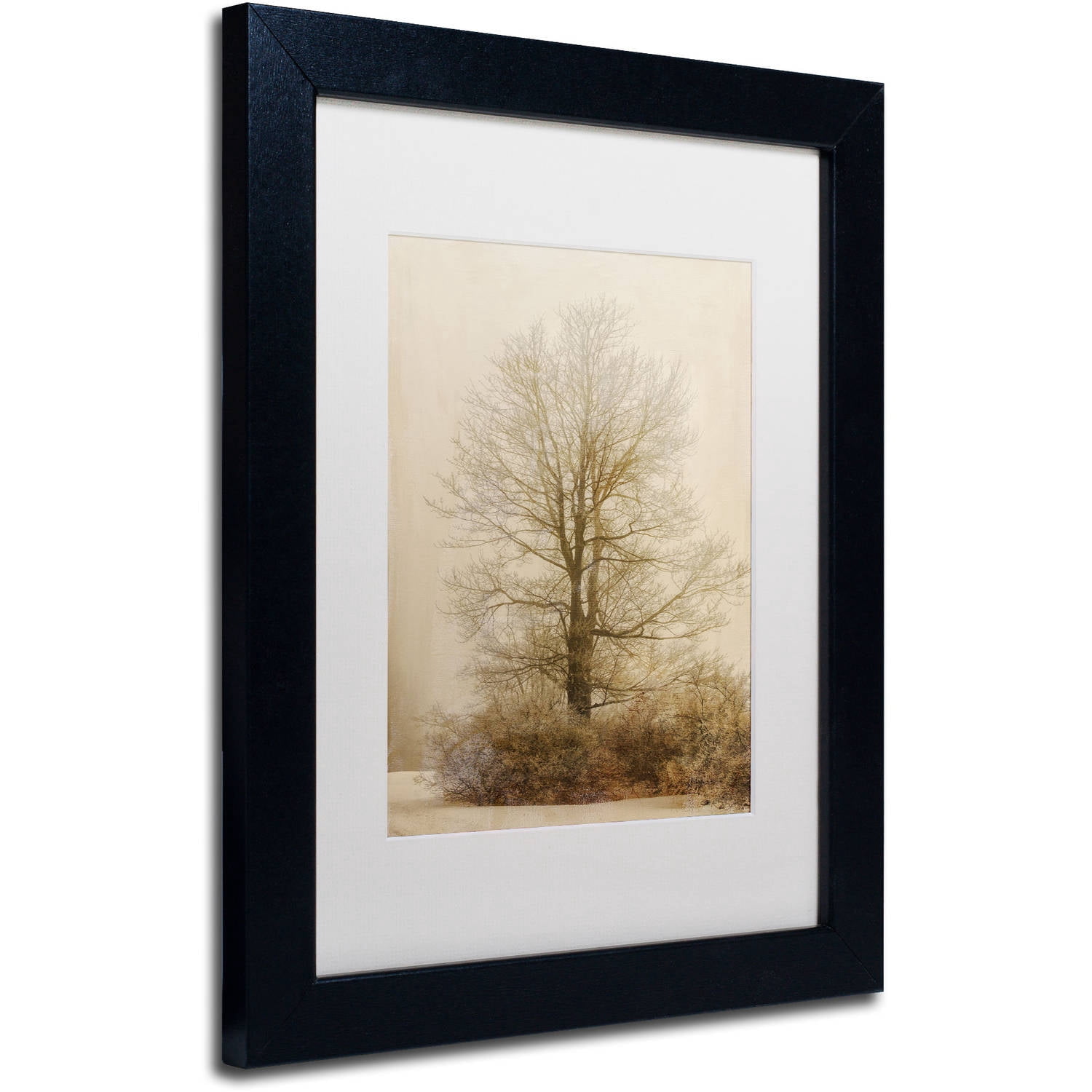 Trademark Fine Art "Tan Tones in the Fog" Canvas Art by Lois Bryan, White Matte, Black Frame