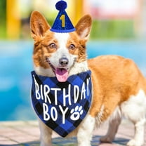 Olurrisa Dog Birthday Bandana Hat with 10 Bling Number Pet Happy Birthday Supplies Glitter Hat Plaid Bandana for Small Medium Large Dogs (Blue)