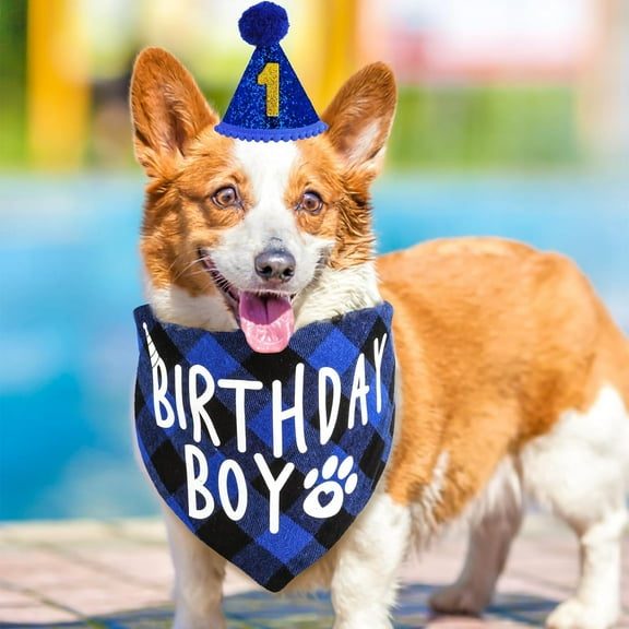 Olurrisa Dog Birthday Bandana Hat with 10 Bling Number Pet Happy Birthday Supplies Glitter Hat Plaid Bandana for Small Medium Large Dogs (Blue)