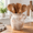 Vintage-1, variant on Vintage-1 Ceramic Farmhouse Kitchen Utensil Holder Countertop Rustic Cooking Crock