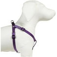 thumbnail image 2 of Casual Canine ZA807 25 90 25-40 in. Nylon 2 Step Harness, Purple, 2 of 3