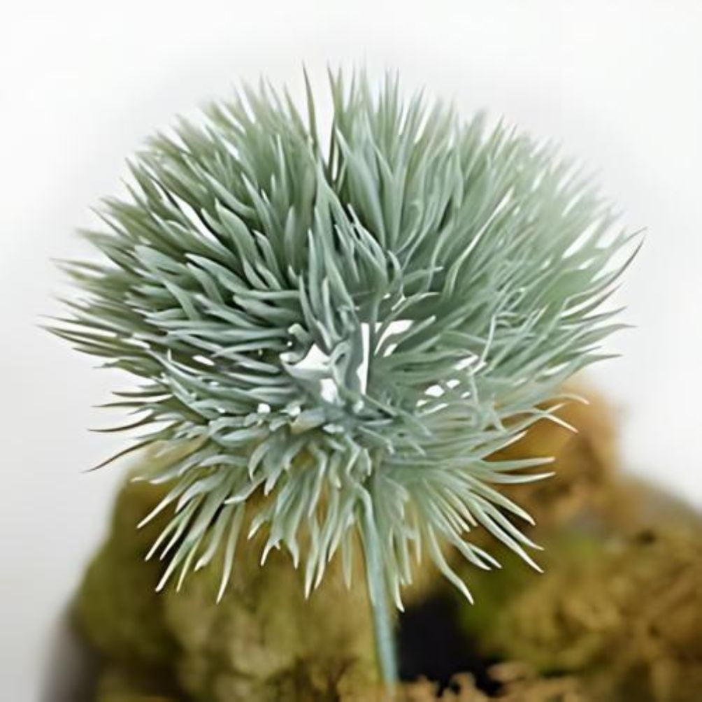 15pc Vinyl Moss Grass Picks - for Fairy Gardens and Faux Succulents - Factory Direct Craft