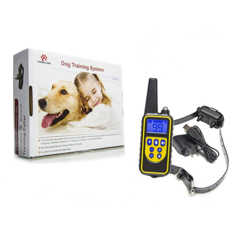 Dog shock collar clearance video