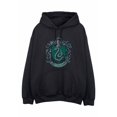 thumbnail image 1 of Harry Potter Mens Slytherin Cotton Hoodie, 1 of 5