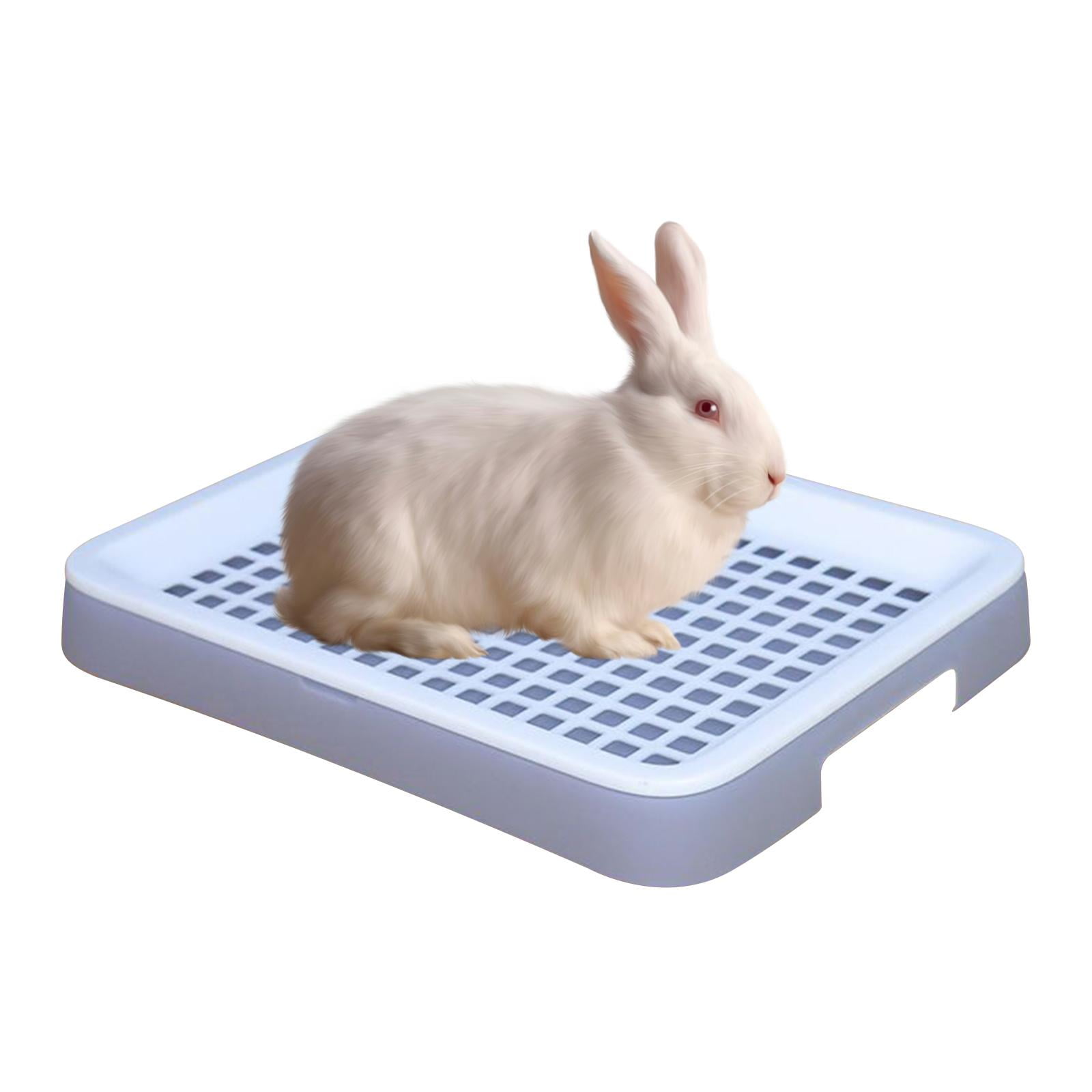 Pet rabbit litter box 2025