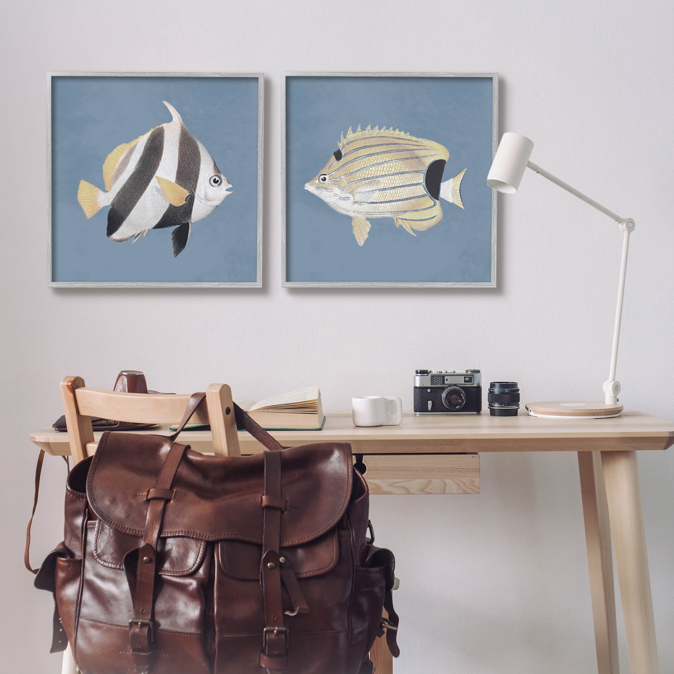 Marine Fish Underwater Sea Life Animals & Insects Graphic Art Gray Framed Art Print Wall Art, Set of 2