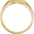 thumbnail image 2 of FB Jewels 14K Yellow Gold .05 CTW Diamond Ladies Signet Ring, 2 of 3