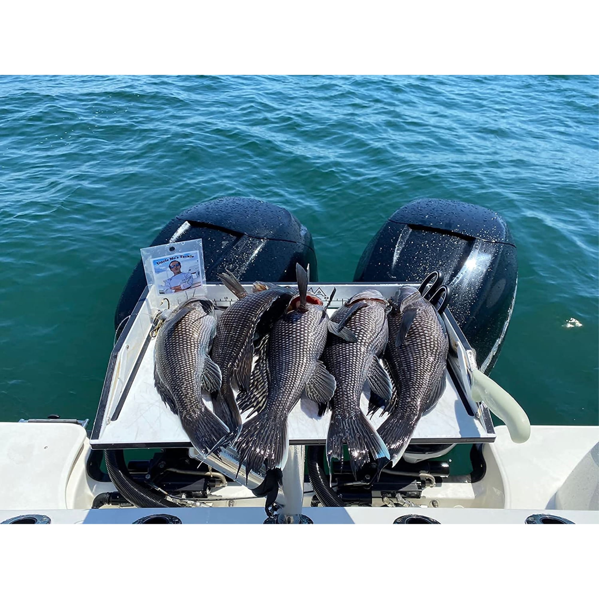 Sea Bass Rig  10 Pack - Hi/Lo – Mustad Size 3/0 Bait Hook - 60lb Heavy Duty - Hand Tied - Fluke & Porgy with 80lb Swivel & Sinker Loop at The Bottom
