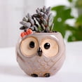 thumbnail image 4 of Succulent Plant Pot - Owl Pot Ceramic Flowing Glaze Base Cactus Plant Pot Flower Pot Container Planter with Drainage Hole Home Office Desk Garden Gift, 4 of 7