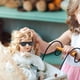 thumbnail image 4 of 80pcs Mini Gafas de sol Muñeca DIY Decoración Accesorios Kids Play Toys Juguetes, 4 of 6