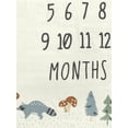 thumbnail image 2 of Modern Moments by Gerber Baby Boy Milestone Blanket & Frame Set, 2-Piece, Teal Forest, 2 of 7