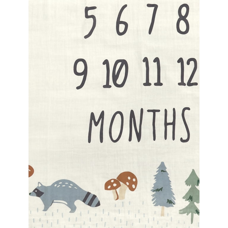 Modern Moments by Gerber Baby Boy Milestone Blanket & Frame photo 2
