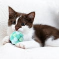 thumbnail image 5 of Colorful Crinkle Cat Ball Toys 4 Pack Interactive Play Balls with Sound Effects for Indoor Kittens Stimulating Hunting Instincts Fun Exercise Toys, 5 of 6