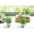 thumbnail image 4 of TETOU 4pcs Fake Plants Small Artificial Greenery Potted Plants Mini Simulation Eucalyptus for Home Office Table Decor, 4 of 10