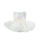 thumbnail image 1 of Vestido tutú brillante y elegante con encaje para cachorros extrapequeños y pequeños, perfecto para fiestas y celebraciones festivas, 1 of 4
