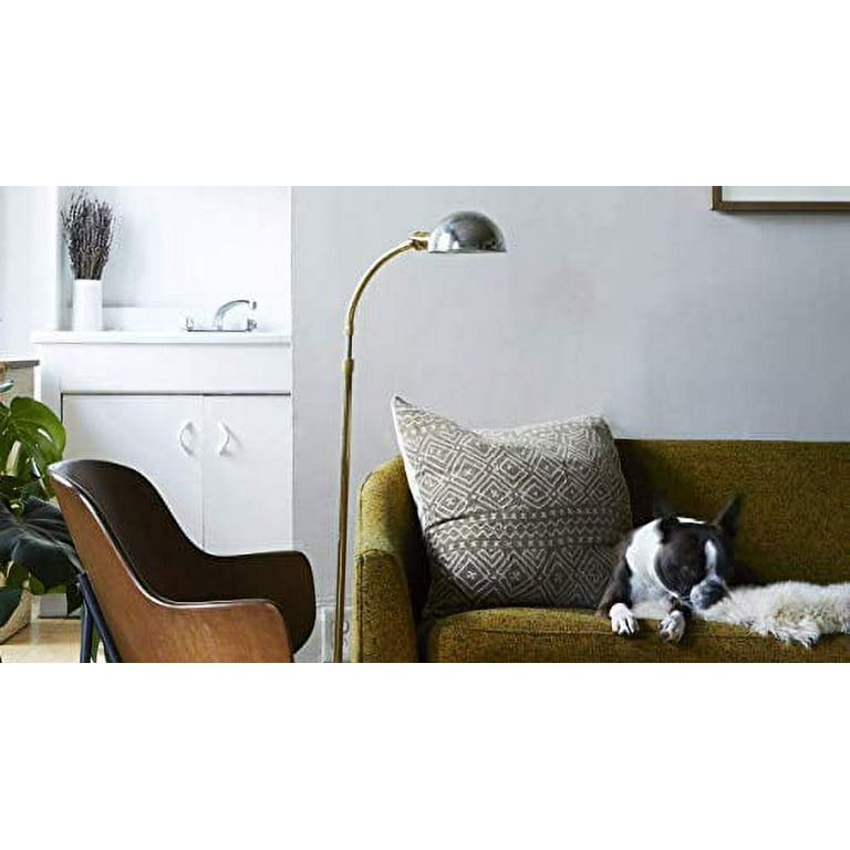 Capture pet stain and odor neutralizer online