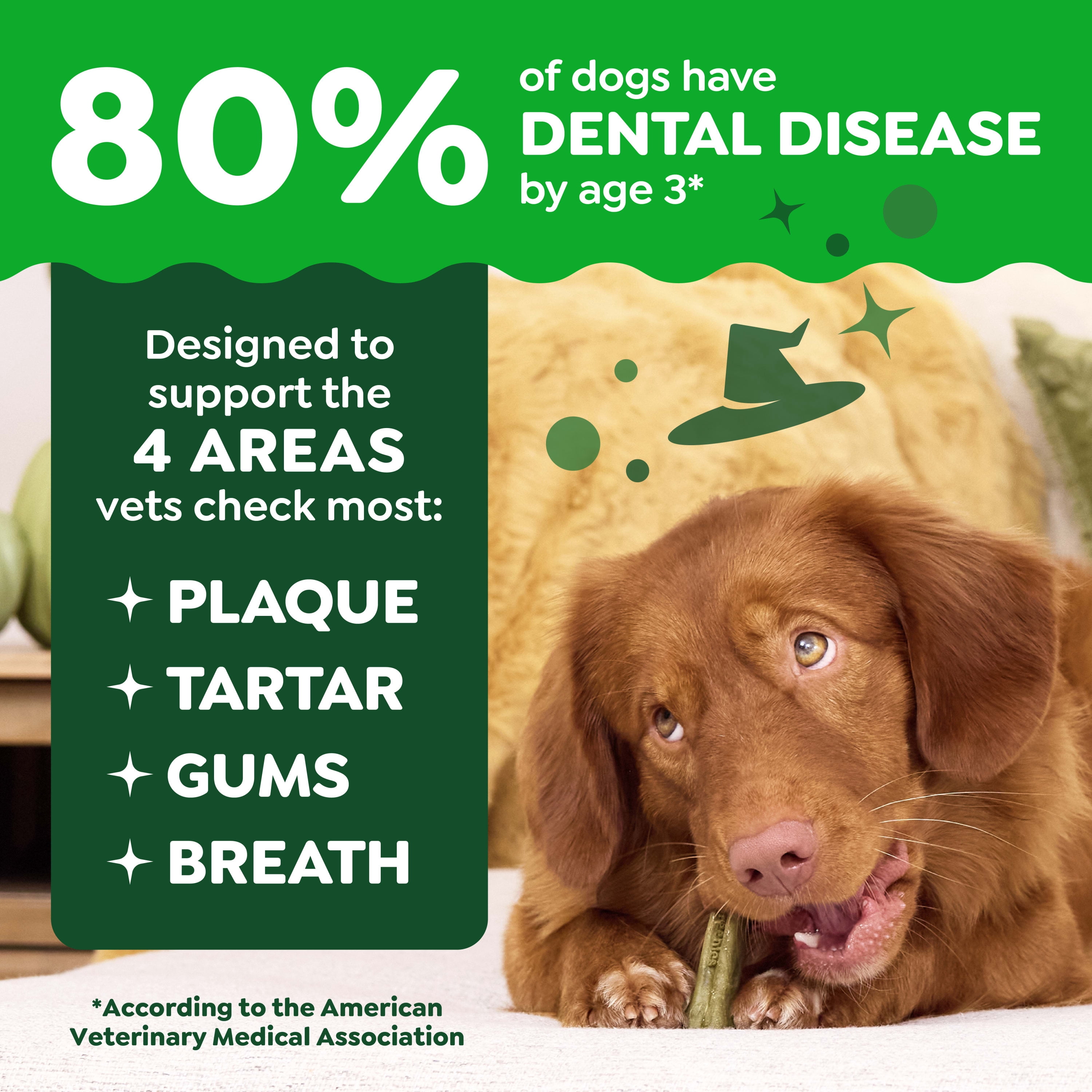 Greenies Pumpkin Spice Flavor Adult Natural Dental Dog Treats Regular Size, 12 oz Pack (12 Count)