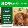 thumbnail image 6 of Greenies Pumpkin Spice Flavor Adult Natural Dental Dog Treats Regular Size, 12 oz Pack (12 Count), 6 of 15