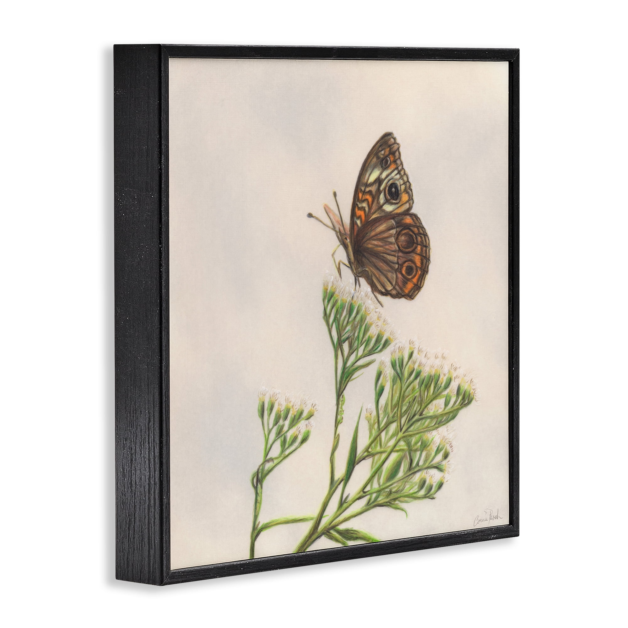 Stupell Industries Spring Offerings Butterfly Animals & Insects Painting Black Framed Art Print Wall Art, 12 x 12