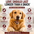 thumbnail image 2 of ToughLove Himalayan Yak Cheese Dog Chews Medium 5 Count Long Lasting Natural Dog Treats, 2 of 8