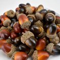 thumbnail image 6 of Artificial Acorns, Faux Acorns, 100PCS Fall Vase Filler Decorations for Thanksgiving Christmas Wedding Home, Brown Plastic Simulated Nuts, Rustic Woodland Craft Supplies, 6 of 8