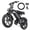 1.0, variant on Tamobyke S20 Electric Bike for Adults, Peak 1500W 48V 15.6Ah 30MPH Ebike, 20" Fat Tire E-Mountain Bicycle Full Suspension UL2849