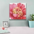 thumbnail image 4 of Epic Graffiti 'Pink Garden V' by Lisa Audit, Canvas Wall Art, 12"x12", 4 of 8
