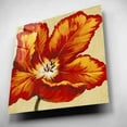 thumbnail image 4 of Epic Art 'Parrot Tulip I' by Tim O'Toole, Acrylic Glass Wall Art, 12"x12", 4 of 7