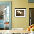 thumbnail image 4 of Camembert Cheese Stuffed with Truffles at La Truffe De Ventoux Truffle Farm, Vaucluse, Rhone Framed Print Wall Art by Per Karlsson Sold by Art.Com, 4 of 5