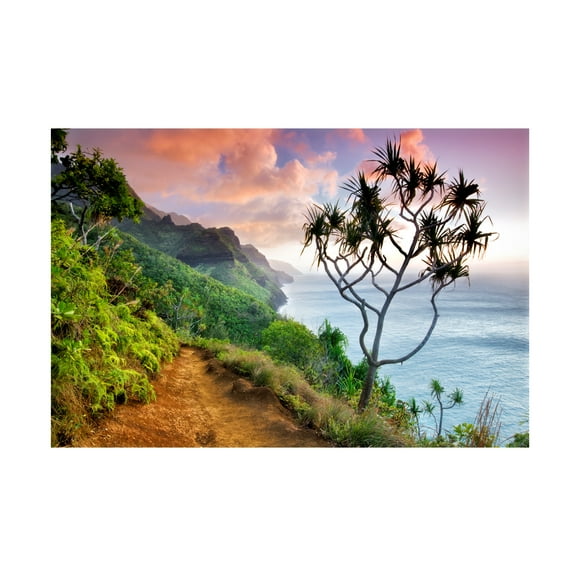 Dennis Frates 'Napali' Canvas Art