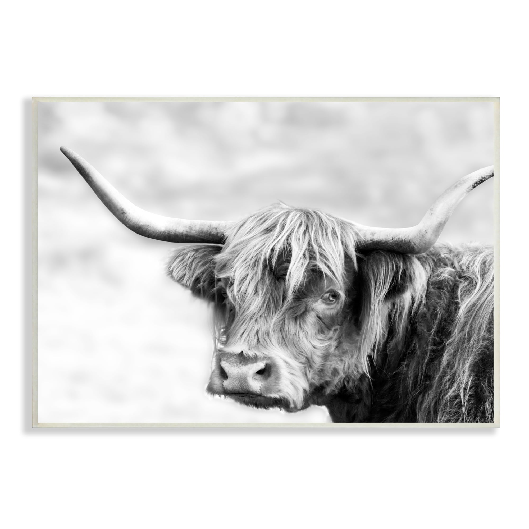 Bold Country Cattle Black White Wild Animal 13 in x 19 in Framed  Photography Art Print, by Stupell Home Décor 
