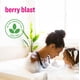 thumbnail image 5 of Everyone 3-in-1 Kids Soap, Body Wash, Bubble Bath, Shampoo, Coconut Cleanser with Organic Plant Extracts and Pure Essential Oils, Clear, Berry Blast, 32 Fl Oz, Pack of 2, 5 of 7