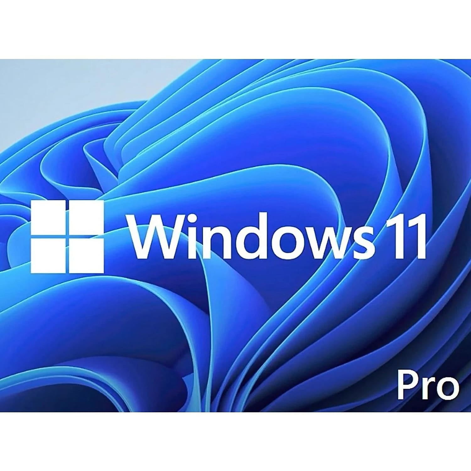 Microsoft Software Licensing Windows 11 Professional 64 Bit