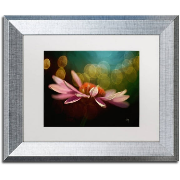 Trademark Fine Art "The Secret World of Coneflowers" Canvas Art by Lois Bryan White Matte, Silver Frame