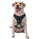 thumbnail image 1 of Fotbe Artistic Starry Sky Moon Book Arnés para Perro con Estampado –Chaleco Ajustable Acolchado con Asa de Control para Perros Grandes-Small, 1 of 6