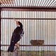 thumbnail image 1 of WASHWEPE 5Ud Artificial Rattan Simulado Color Café Para Creativa, 1 of 6