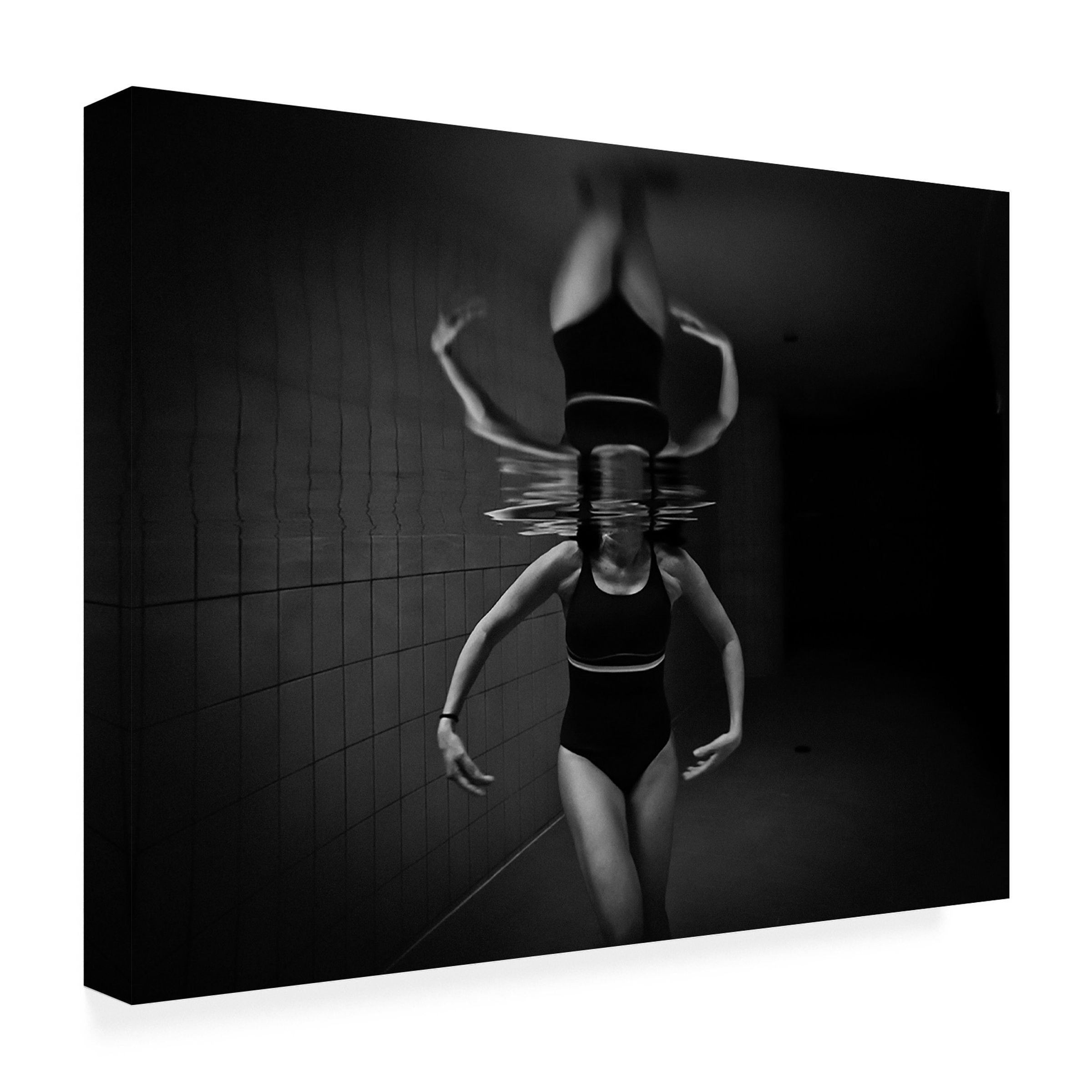 Stefano Zocca 'Ballerina' Canvas Art