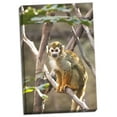 thumbnail image 2 of Gango Home Decor Primate II by Karyn Millet (Ready to Hang); One 24x36in Hand-Stretched Canvas, 2 of 4