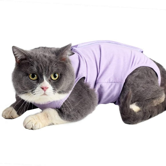 Cat Recovery Suit with Anti-lick Abdominal Wound Soft Interior Pet Clothes Collar E Alternative for Pet After Surgery M
