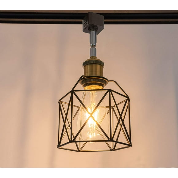 FSLiving H System Track Lighting Heads,Vintage Loft Design, Black Basket Cage Track Mount Light,Adjustable Decorative Lighting Fixture for Kitchen Island Hotel Shop and Bar,Black - 1 Pack