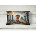 thumbnail image 4 of Carolines Treasures DAC2056PW1216 16 x 12 in. Unisex Vizsla Spooky Halloween Fabric Decorative Pillow, 4 of 4