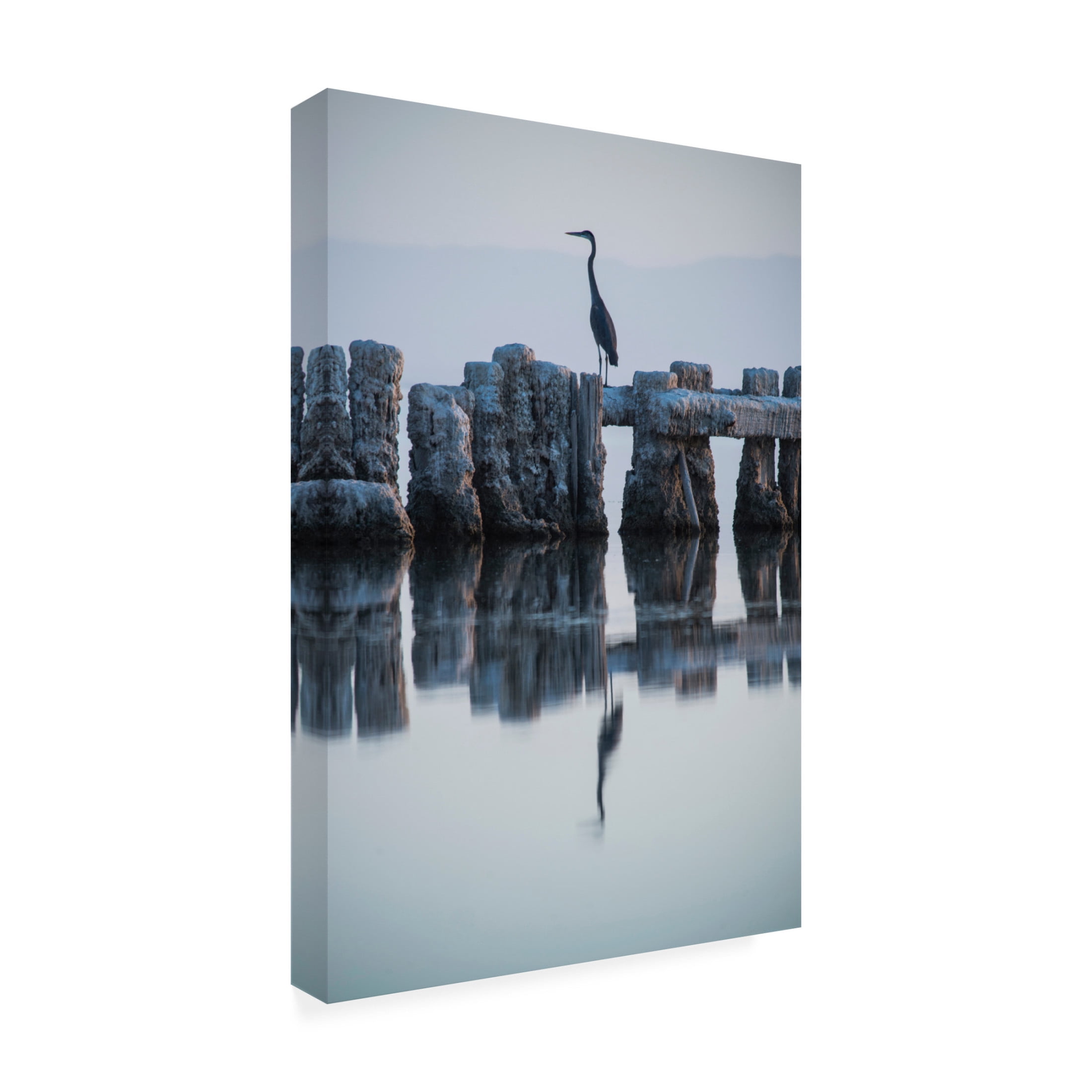 Canvas Wall Art - GS Photo 'Heron Hunting' Wall Art for Living Room, Bedroom, or Office Décor by Trademark Fine Art - 12 x 19 Inches