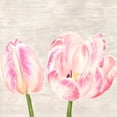 thumbnail image 2 of Jenny, Thomlinson 26x26 Black Ornate Wood Framed with Double Matting Museum Art Print Titled - Classic Tulips I, 2 of 4