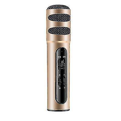Micrófono musical portátil Micrófono de karaoke de mano Máquina de altavoz para fiesta de cumpleaños en casa??? ¿Rojo??‰